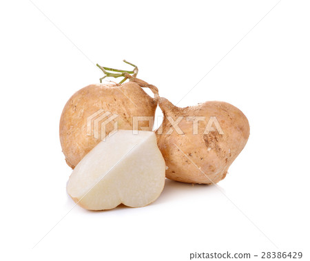 Jicama isolated on white background 28386429