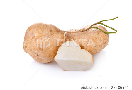 Jicama isolated on white background 28386555