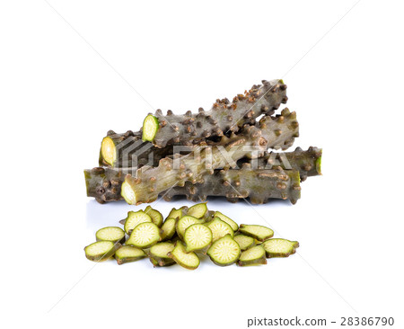 Tinospora crispa (L.) Hook. f. & Thomson herb 28386790