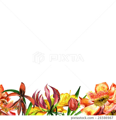 Tropical Hawaii leaves and flowers frame in a Tropical Hawaii leaves and flowers frame in a 28386987