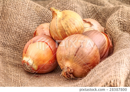 Closeup of onions on a rustic background. 28387800