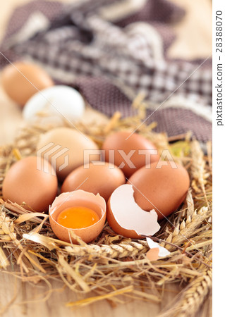 Fresh chicken eggs. Fresh chicken eggs. 28388070