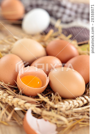Fresh chicken eggs. Fresh chicken eggs. 28388071
