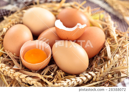 Fresh chicken eggs. Fresh chicken eggs. 28388072