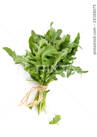 Bunch of arugula leaves. Bunch of arugula leaves. 28388073