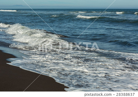 Khalaktyrsky beach with black sand. Pacific Ocean Khalaktyrsky beach with black sand. Pacific Ocean 28388637