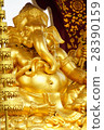 Pula · Piccanate 28390159