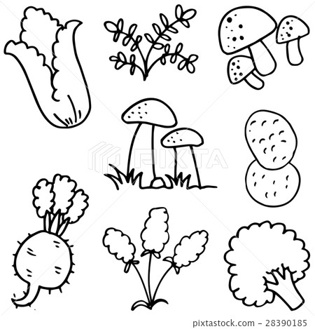 Doodle of vegetable various hand draw Doodle of vegetable various hand draw 28390185