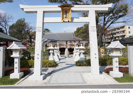 Tanekashisha 28390194