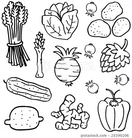 Various vegetable of doodles hand draw Various vegetable of doodles hand draw 28390206