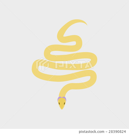 Vector illustration in flat style snake Vector illustration in flat style snake 28390824