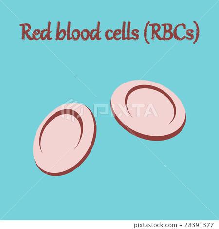 human organ icon in flat style blood cells 28391377