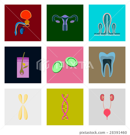 icons set in flat style human organs cell - Stock Illustration ...