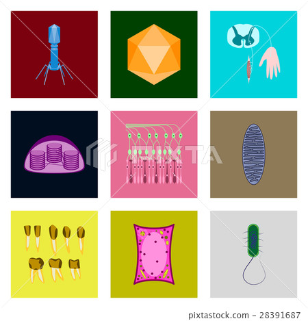 icons set in flat style cells viruses teeth - Stock Illustration ...