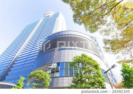 High-rise buildings in the office area and street trees 28392105