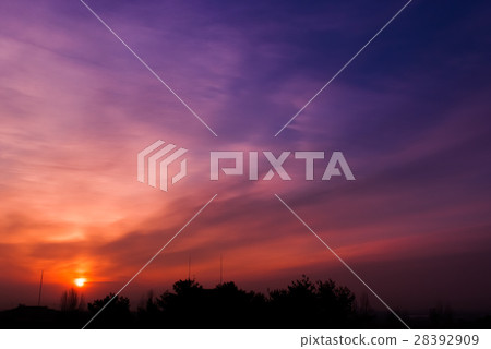 清晨的陽光 28392909