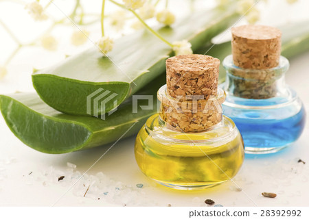 Aloe leaves with two flasks with oil  28392992