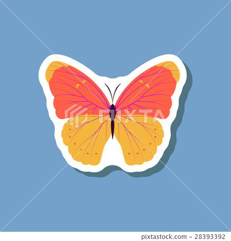 butterfly paper sticker on stylish background butterfly paper sticker on stylish background 28393392