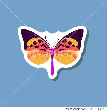 butterfly paper sticker on stylish background butterfly paper sticker on stylish background 28393394