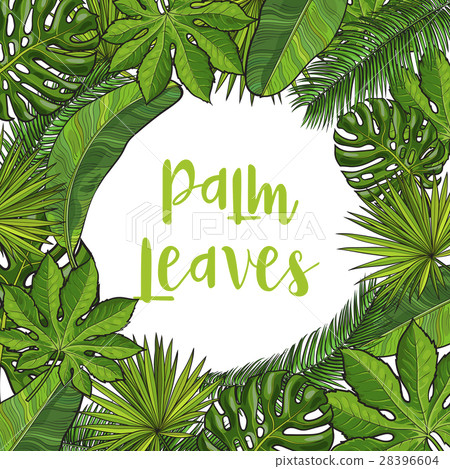 Frame of tropical palm leaves with round place for - Stock Illustration ...