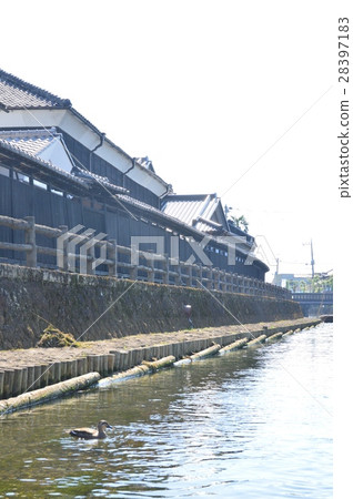 "Kuranayagi" (Tochigi-shi, Tochigi prefecture) lines along the Tomoeagawa River "Kuranayagi" (Tochigi-shi, Tochigi prefecture) lines along the Tomoeagawa River 28397183