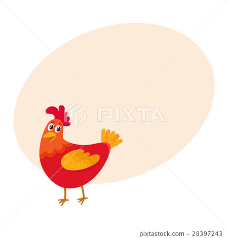 Funny cartoon red chicken, hen standing and Funny cartoon red chicken, hen standing and 28397243