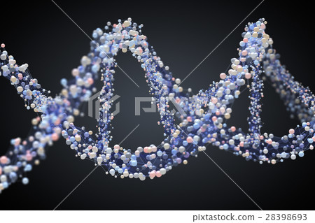 Spiral strand of DNA 28398693