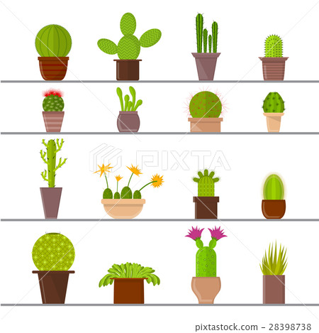 Cartoon Cactus Plant In Pots Vector Stock Illustration 28398738 Pixta