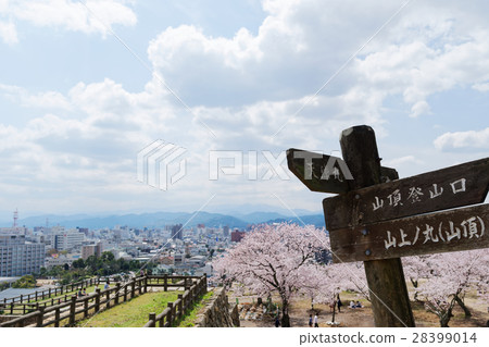 春天鳥取城堡遺址 28399014