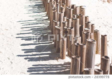 Bamboo sticks on the beach with white sand 28399778