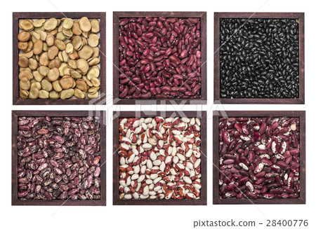 Multicolored beans in bowl 28400776