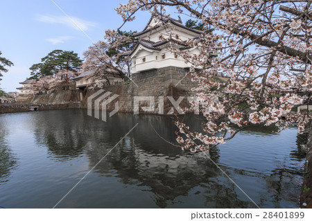 Scenery of Shibata Spring Castle in the spring Scenery of Shibata Spring Castle in the spring 28401899