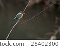 Kingfisher 28402300