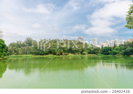 The lake in the Aclimacao Park in Sao Paulo The lake in the Aclimacao Park in Sao Paulo 28402438