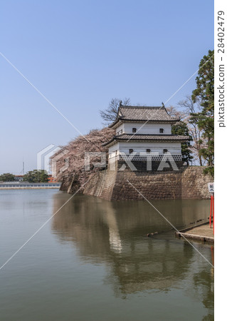 Scenery of Ninomaru corner oar at Shibata castle in spring Scenery of Ninomaru corner oar at Shibata castle in spring 28402479