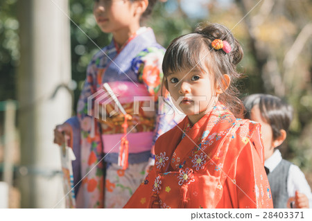 七五三神殿拜拜 照片素材 圖片 圖庫