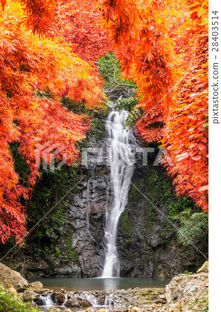 Beautiful waterfall in the deep forest, Than Thip Waterfall, Nong Khai i province, thailand, Nature travel concept 28403514
