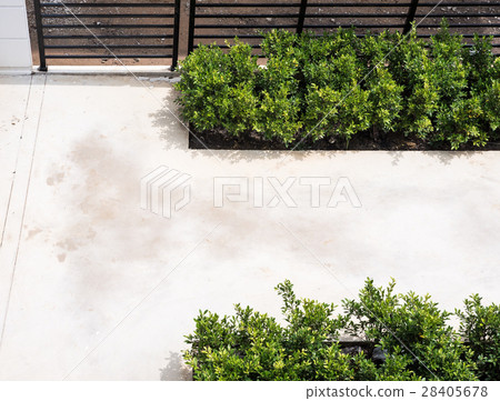 Concrete floor with the shrub Concrete floor with the shrub 28405678