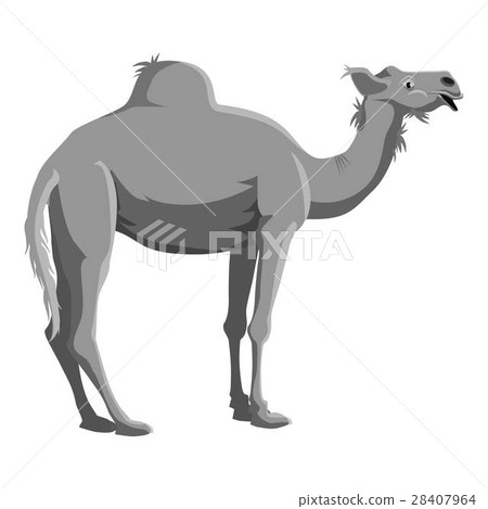 Camel icon, gray monochrome style 28407964