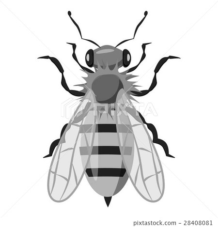 Insects bee icon, gray monochrome style Insects bee icon, gray monochrome style 28408081