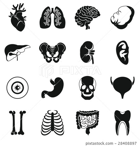 Human organs icons set, simple style Human organs icons set, simple style 28408897