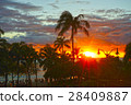 夏威夷威基基日落 28409887