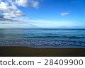 夏威夷海灘 28409900