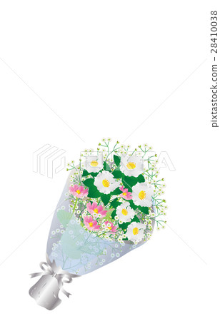 Flower bamboo shoots Flower bamboo shoots 28410038