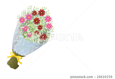 Bouquet Cosmos Bouquet Cosmos 28410159