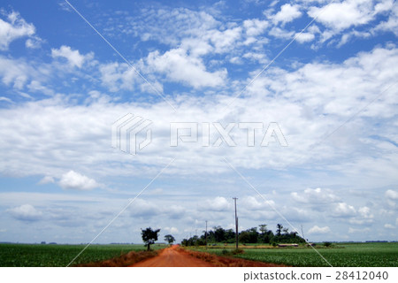 巴拉圭_土路_房 28412040
