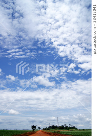 巴拉圭_土路_房 巴拉圭_土路_房 28412041