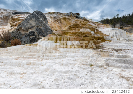 Mammoth Hot springs Mammoth Hot springs 28412422