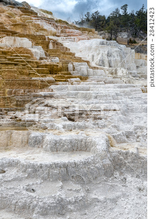Mammoth Hot springs Mammoth Hot springs 28412423