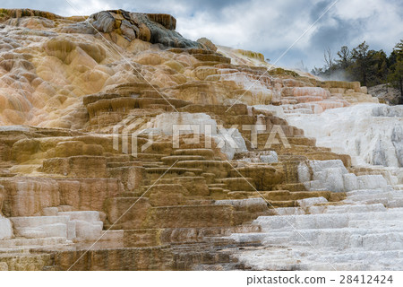Mammoth Hot springs Mammoth Hot springs 28412424